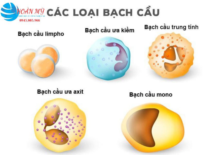 Cơ sở lý thuyết chung về máy xét nghiệm huyết học