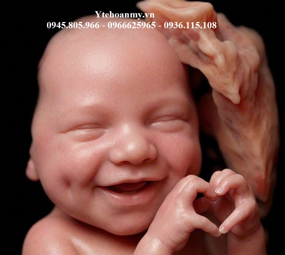 Máy siêu âm 5D - Tất cả những gì bạn cần biết trước khi mua