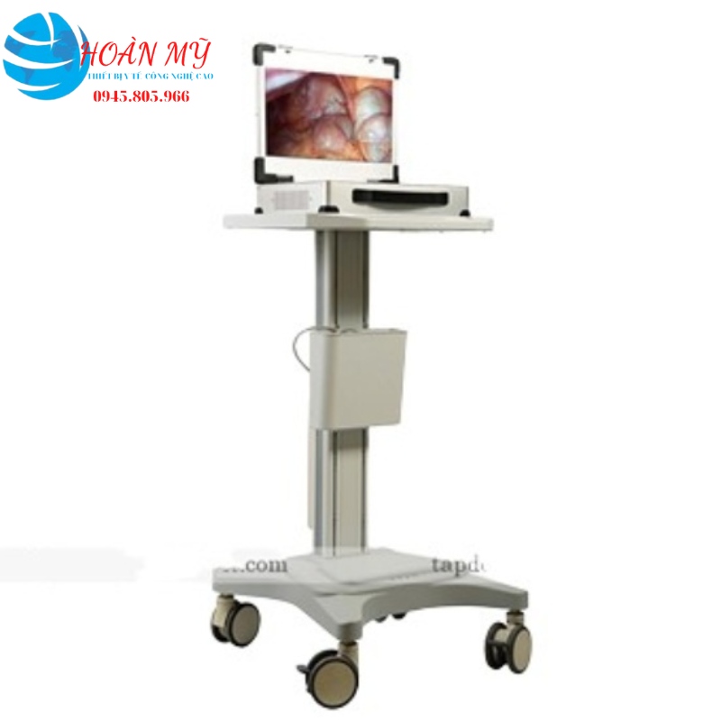 Máy nội soi tai mũi họng xách tay Geiwre HD340