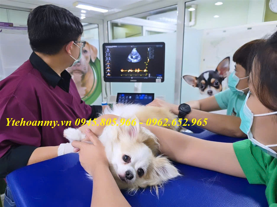 Máy siêu âm thú y Vinno S200 Vet