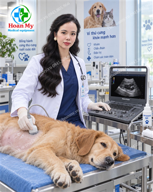 Top 4 máy siêu âm thú y chất lượng, giá rẻ đáng tham khảo hiện nay