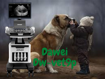 Máy siêu âm thú y Dawei DW-Vet9P