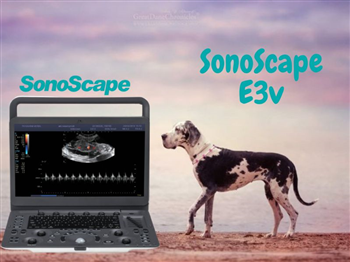 Máy siêu âm thú y Sonoscape E3v